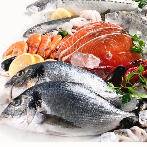 SIPPO Tunisia and BSO GIPP